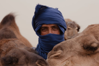 Rencontre avec les nomades : Traditions vivantes au Maroc moderne