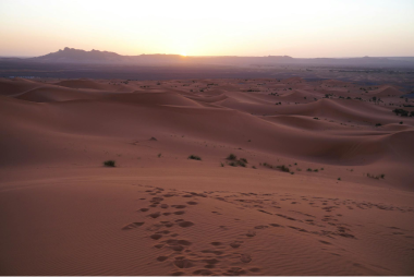 Guide photo du désert : Capturer la lumière parfaite du Sahara